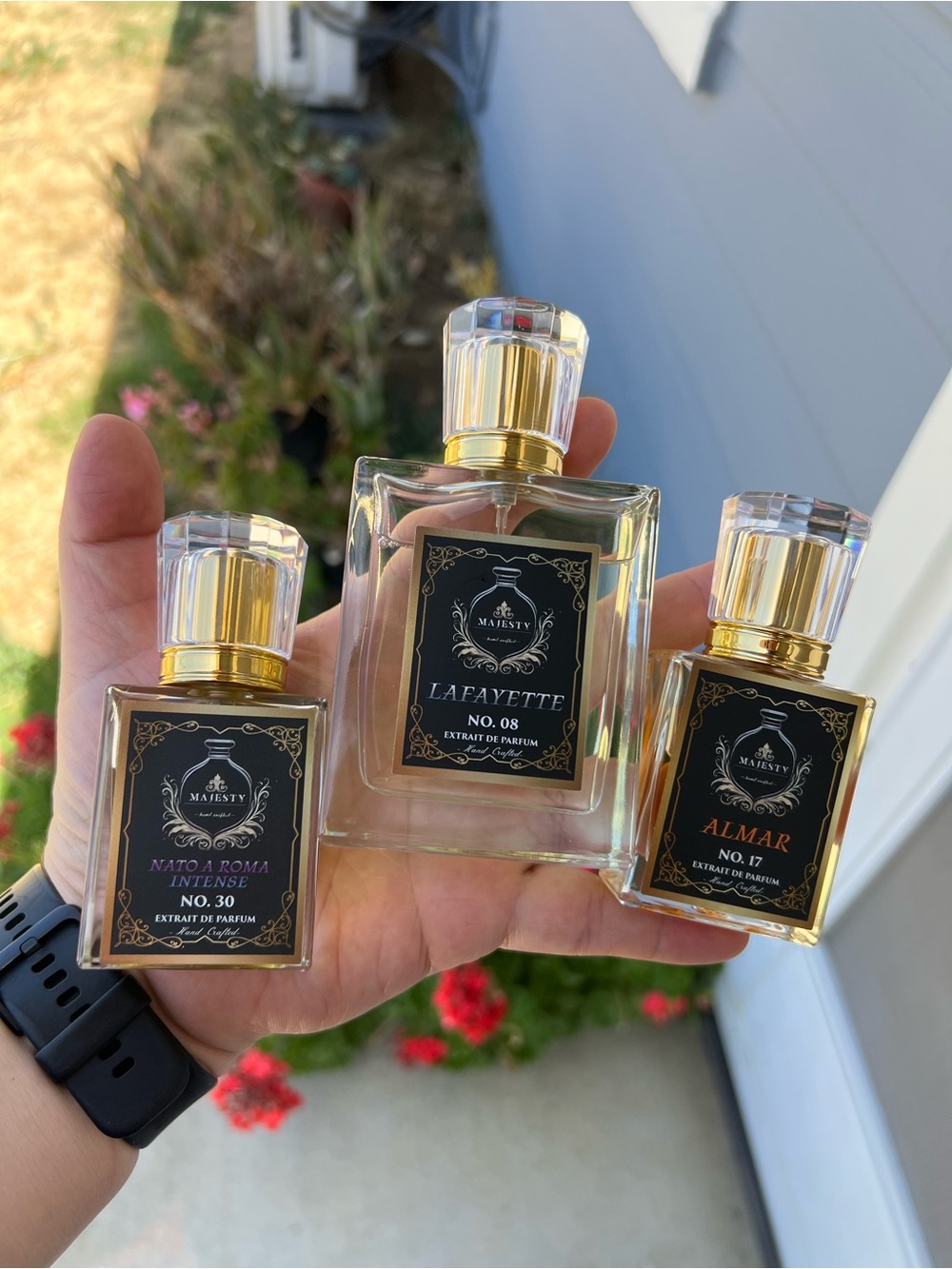 Majesty Anaya a Roma intense no.8 & Majesty Almar no.17 & Lafayette fragrances